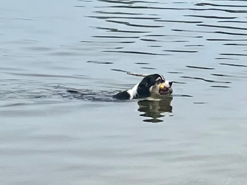 Auszeit am Rhein